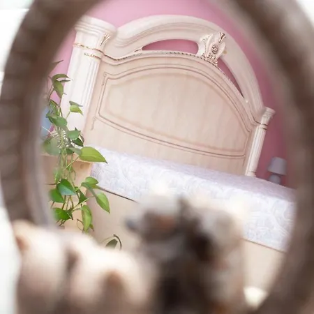 Апартаменти На Сихові, Драгана 1Й * Lemberg