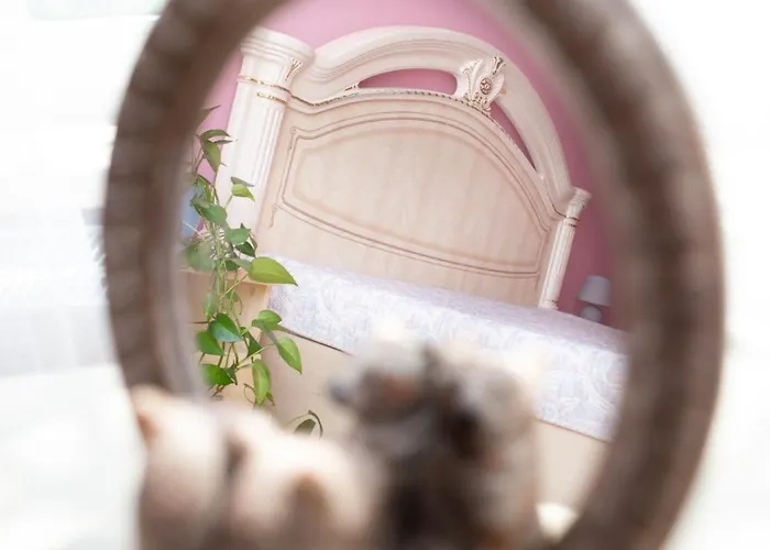 на сихові, драгана 1й * Leópolis